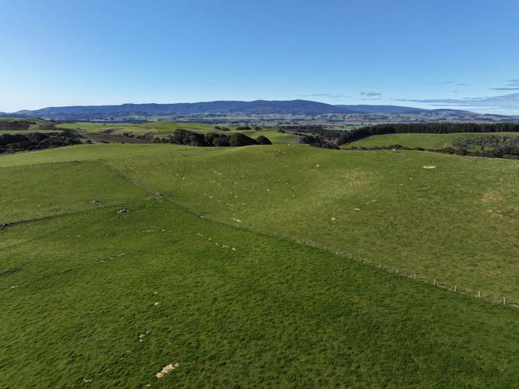 725 Grove Burn Road Tuatapere_1