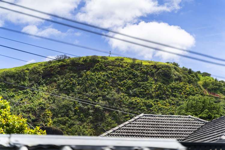 19 Mountain Road Mount Wellington_16