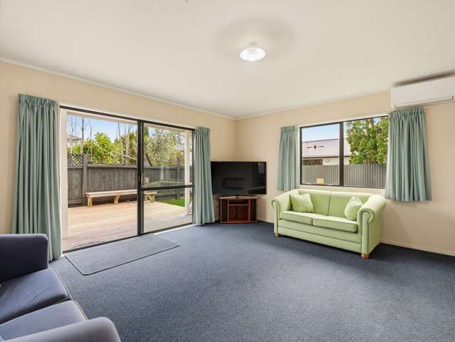33 Ruahine Street Roslyn_2