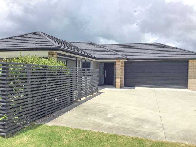 31 Merrimana Drive Thames_1