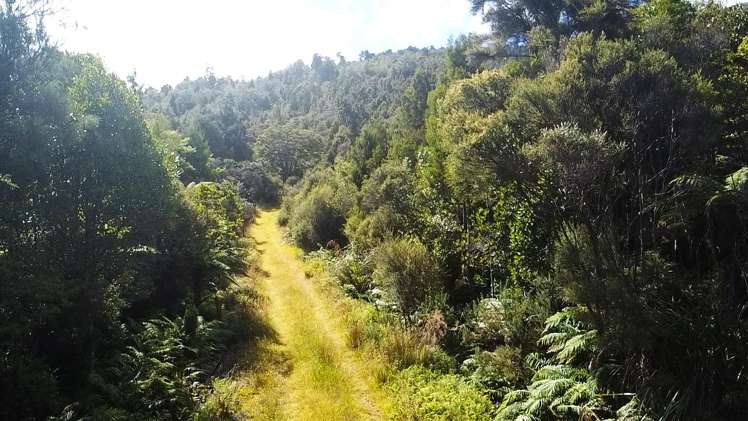 State Highway 67 Waimangaroa_9