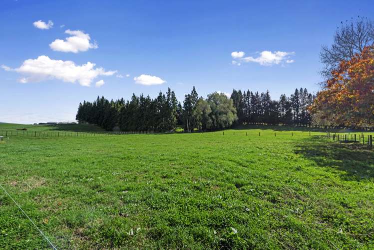 44 Brotherhood Road Kihikihi_34