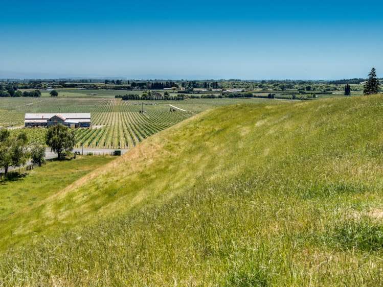 338 Te Mata Road Havelock North_6