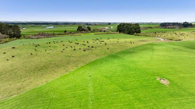 0n Ngarongo Road Normanby_68