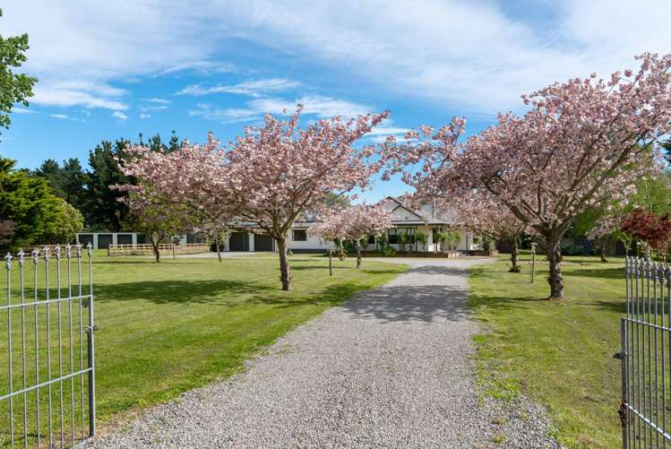 38 Portland Road Carterton_28