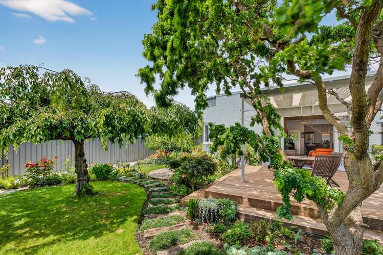 419 Brunswick Street St Leonards_12