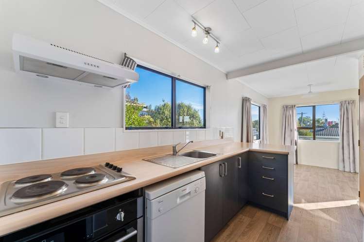 17A Tahunanui Drive_1
