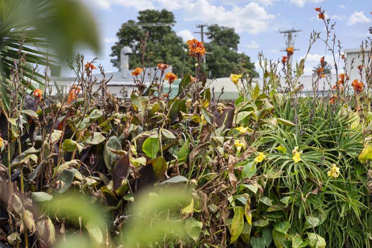 83 Second View Avenue Beachlands_12