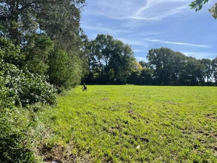 220 Russley Road Avonhead_3