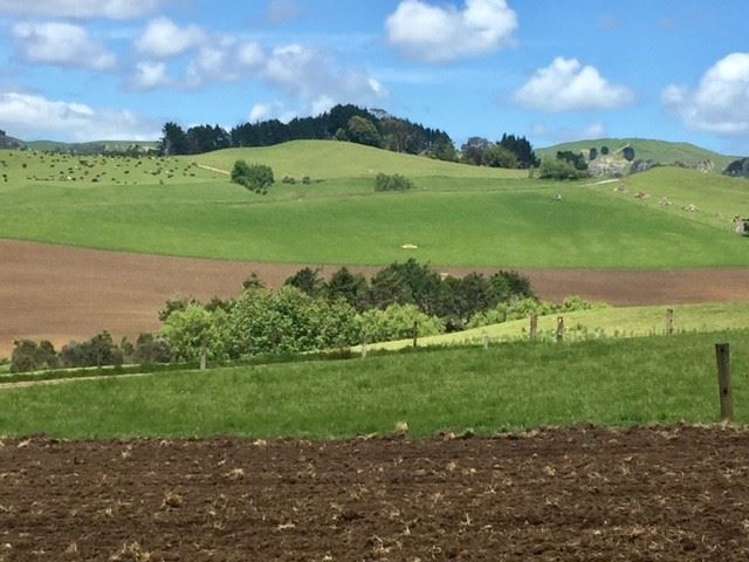 272 Broughton Road Ruawaro_33