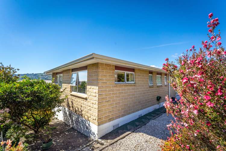 6 Newall Avenue Stoke_12