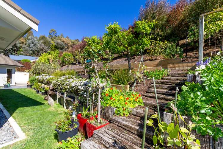 126 Kent Terrace Taradale_17