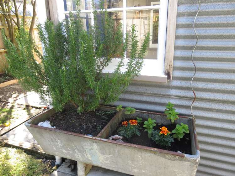 15 Marine Avenue Waihi Beach_29