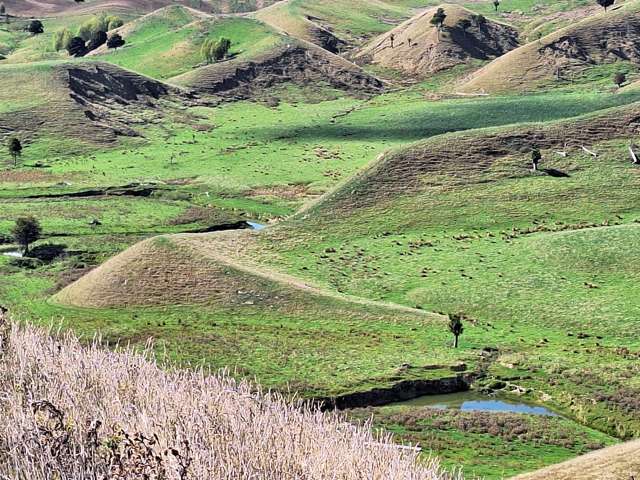 Mangaone Road Pongaroa_2