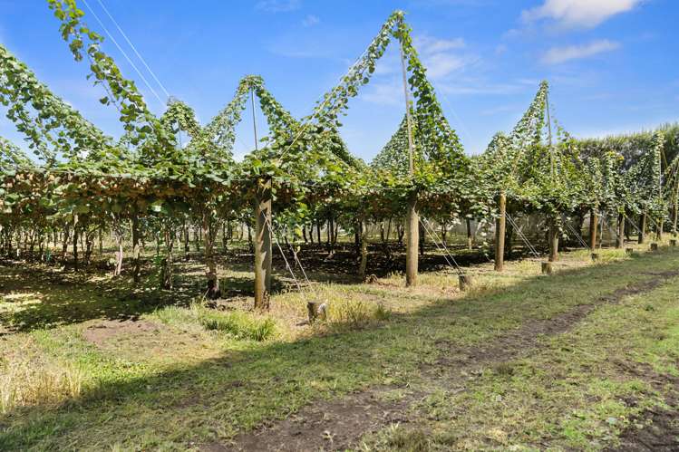 121a Macdonald Road Te Teko_3