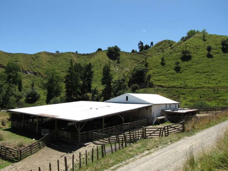 1168 Manui Road Mangaweka_13