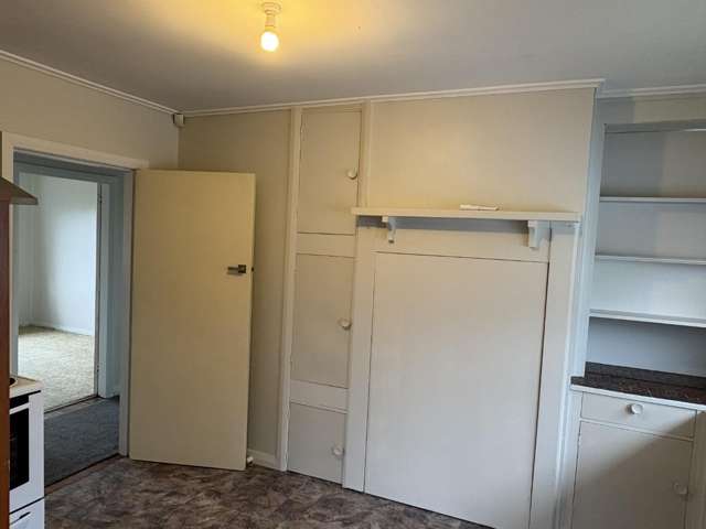 202 Bath Street Levin_3