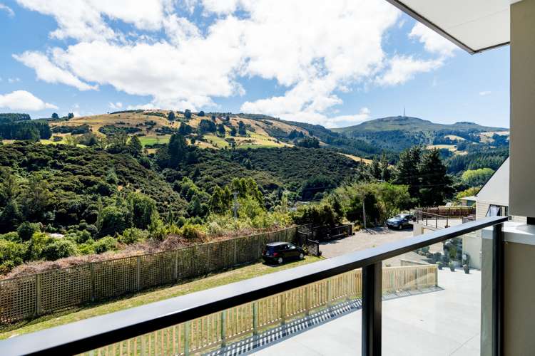 540 North Road Normanby_19