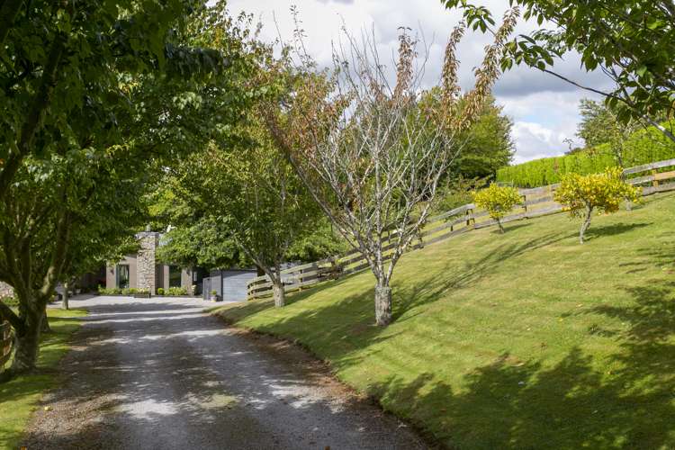 139 Palmer Mill Road Wairakei and Surrounds_49