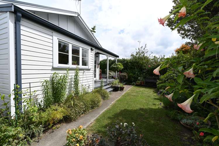 153 Vigor Brown Street Napier South_17