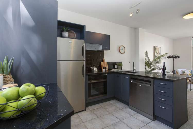 8/8 Burgoyne Street Grey Lynn_6