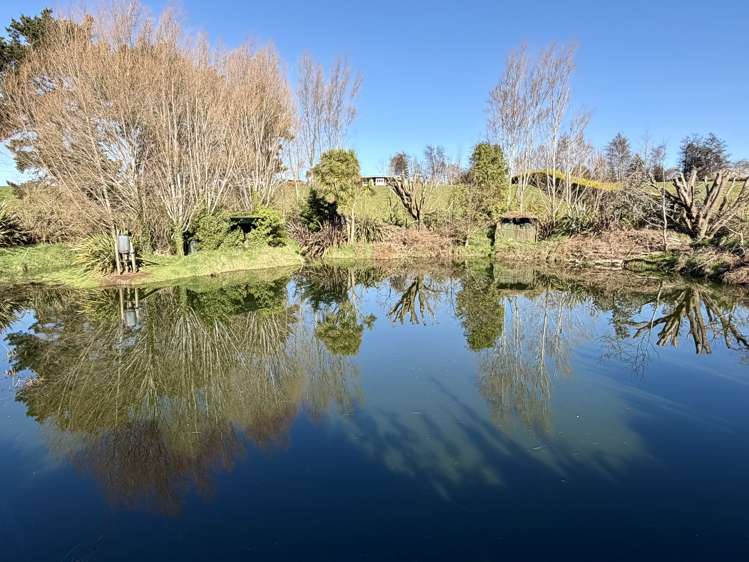 309B Lorne Dacre Road Roslyn Bush_16