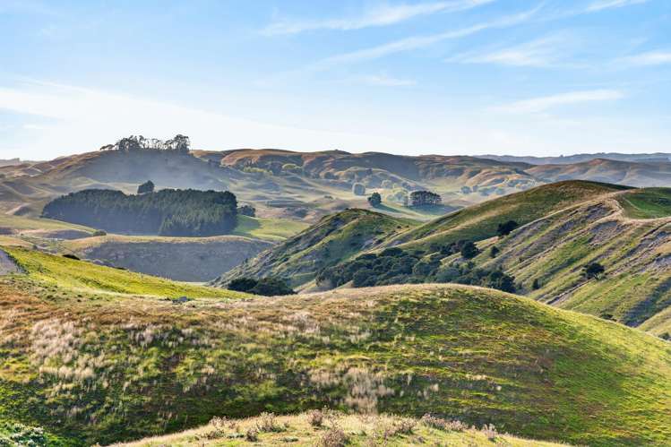Lot Lot 1/1270 Taihape Road Sherenden_6