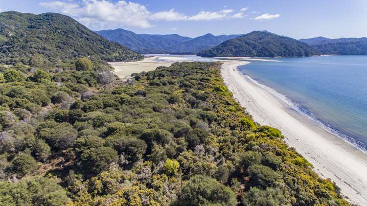 25 Awaroa Bay Awaroa Bay_9