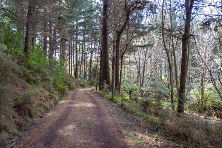 No 1 Line Pohangina_18