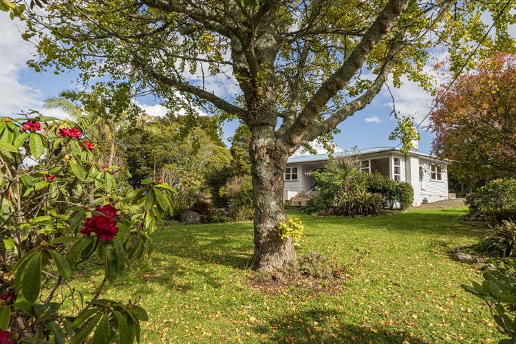 44 Rushbrook Road Ruatangata West_6