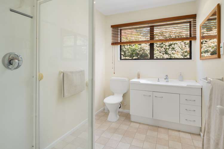 27c Dorset Street Picton_9