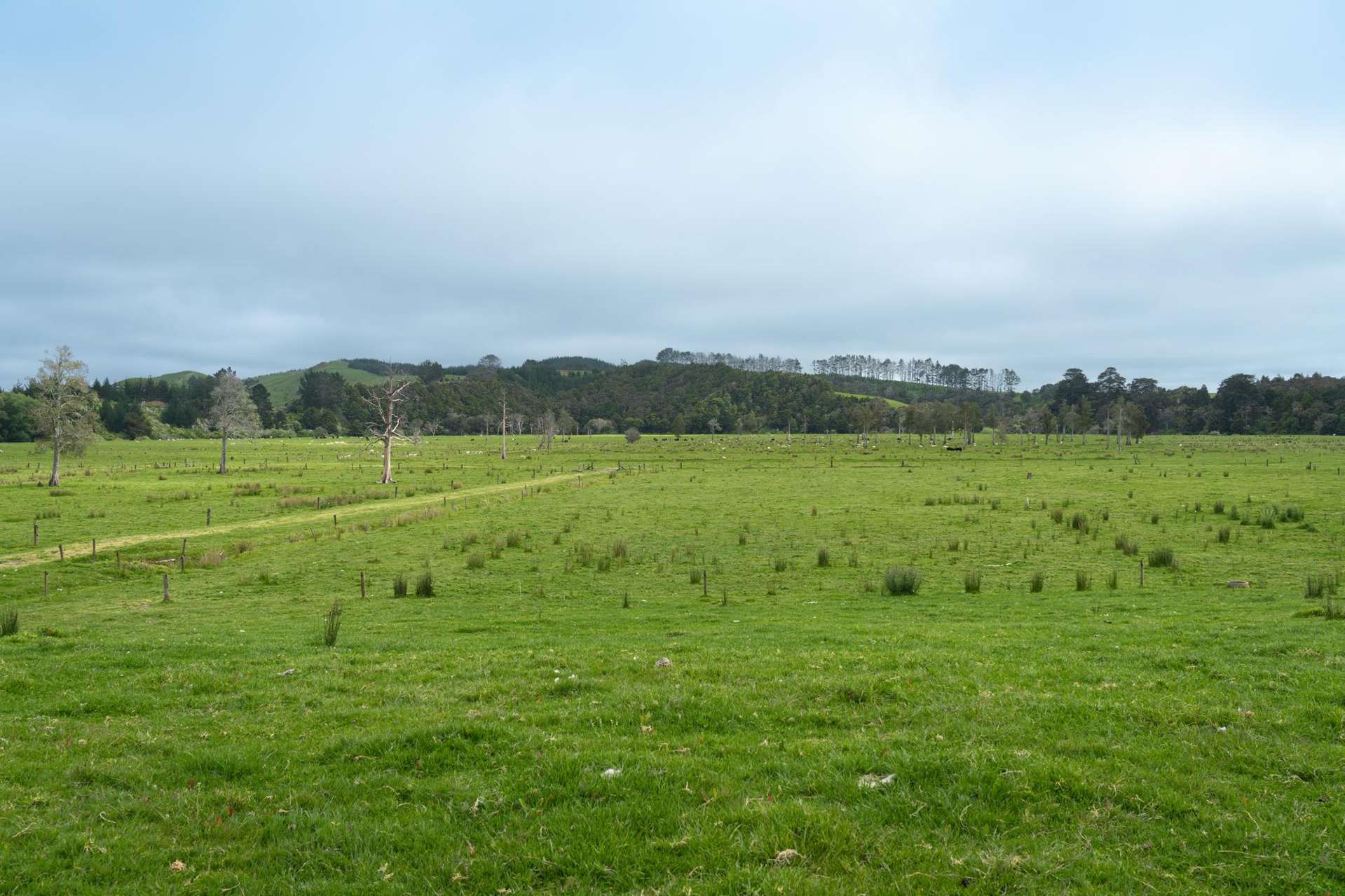 State Highway 14 Tangiteroria_0