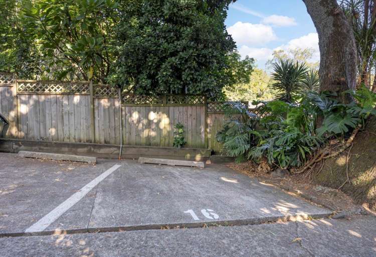 16/7 Claybrook Road Parnell_11