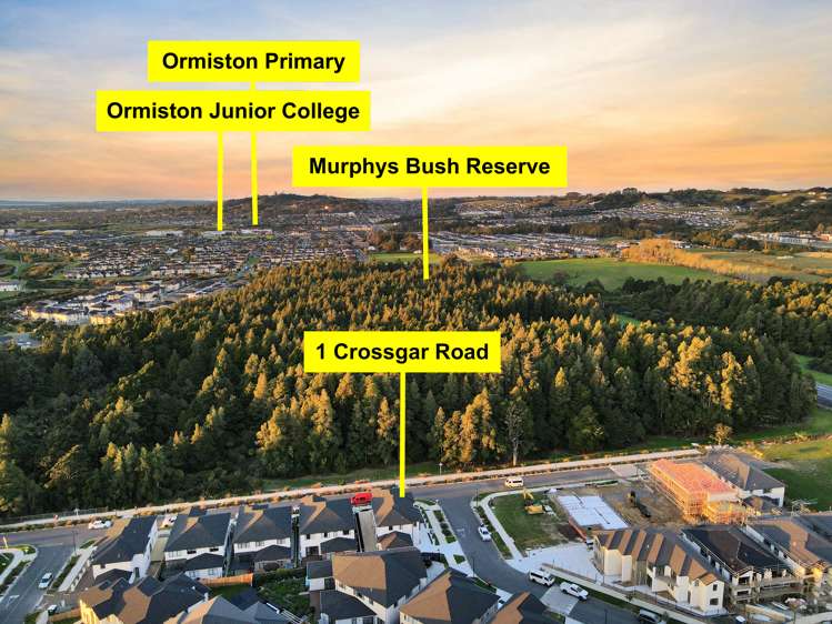 1 Crossgar Road Flat Bush_26