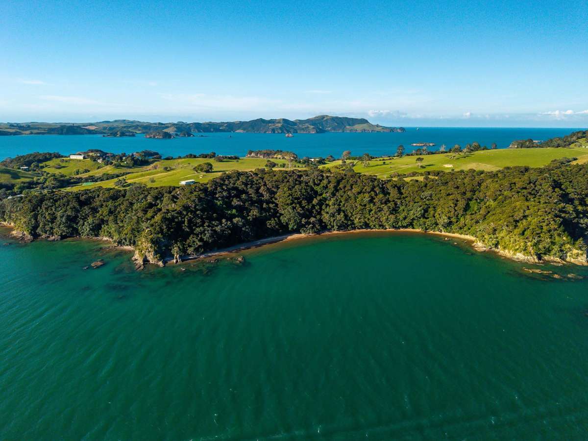 Share 18 Moturoa Island_3