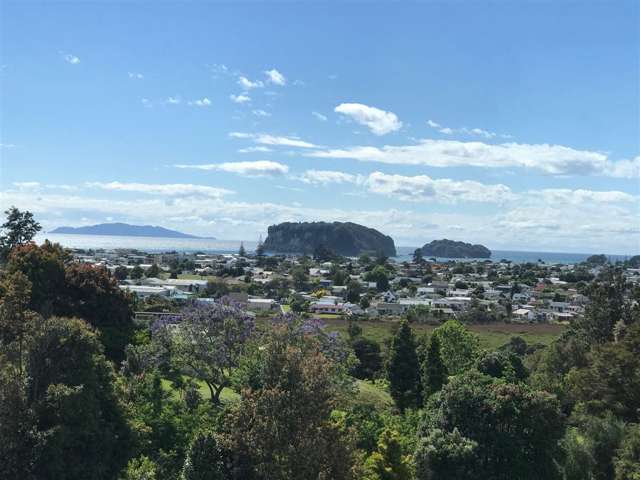 8 Brenton Place Whangamata_1