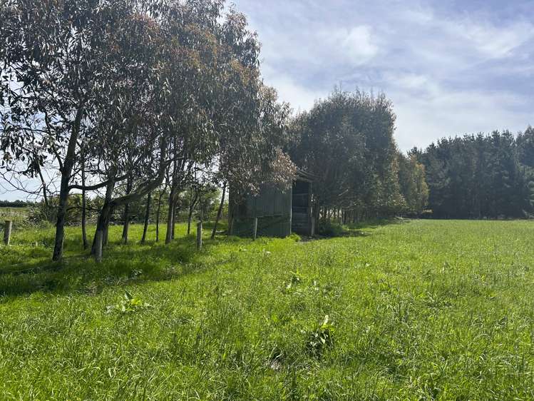 187 Curran Road Otatara_3