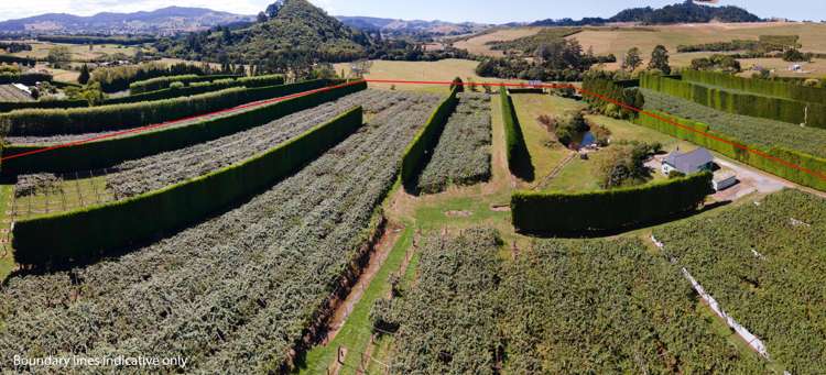 25a Fisher Road Waihi_18