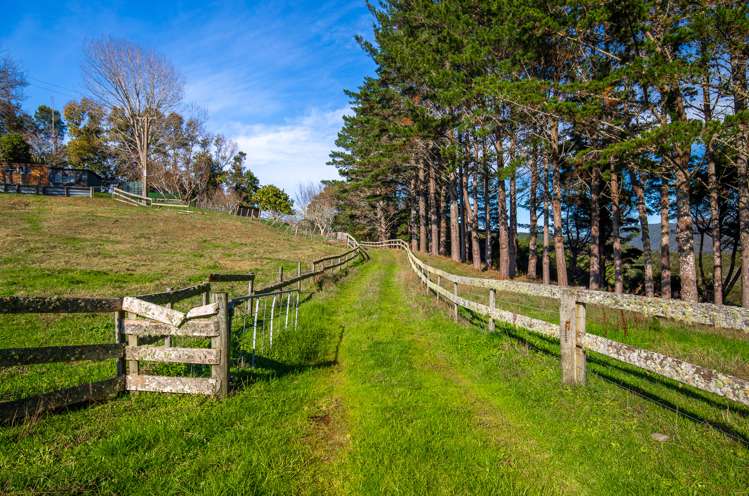 2450 Kopu Hikuai Sh25a Road Hikuai_21