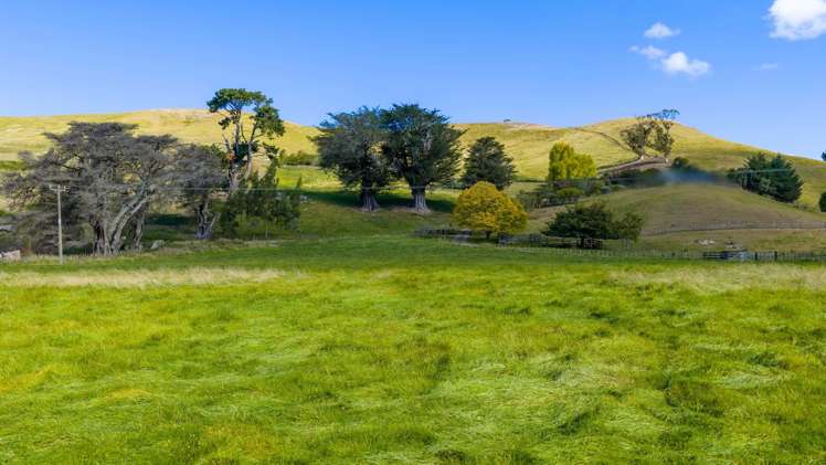 2, 127 Ongaonga Road Waipawa_8