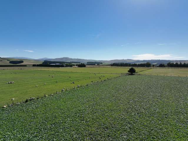 391a Otama Road Gore Surrounds_4