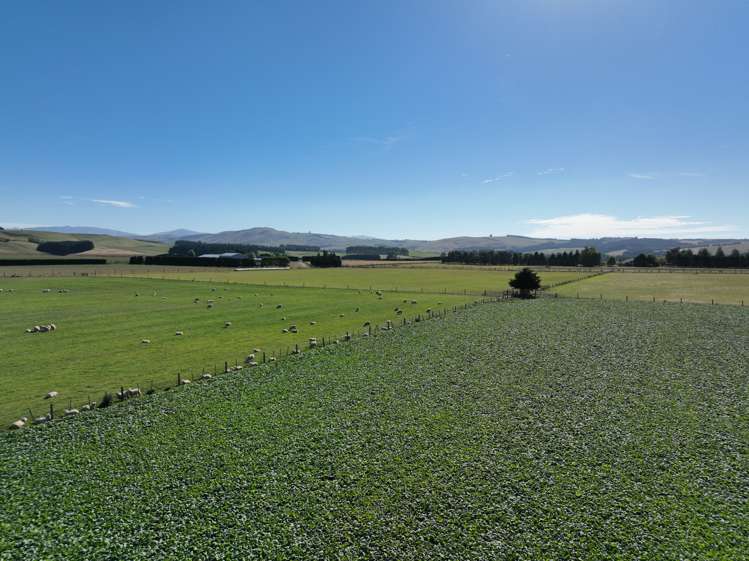 391a Otama Road Gore Surrounds_4