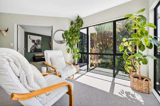 17a Sartors Avenue Browns Bay_4