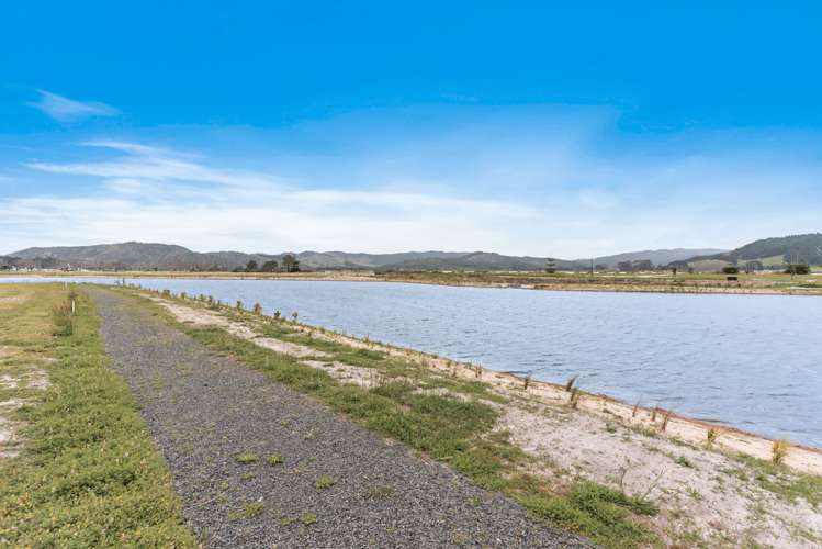 202 Harbour Drive Matarangi_25