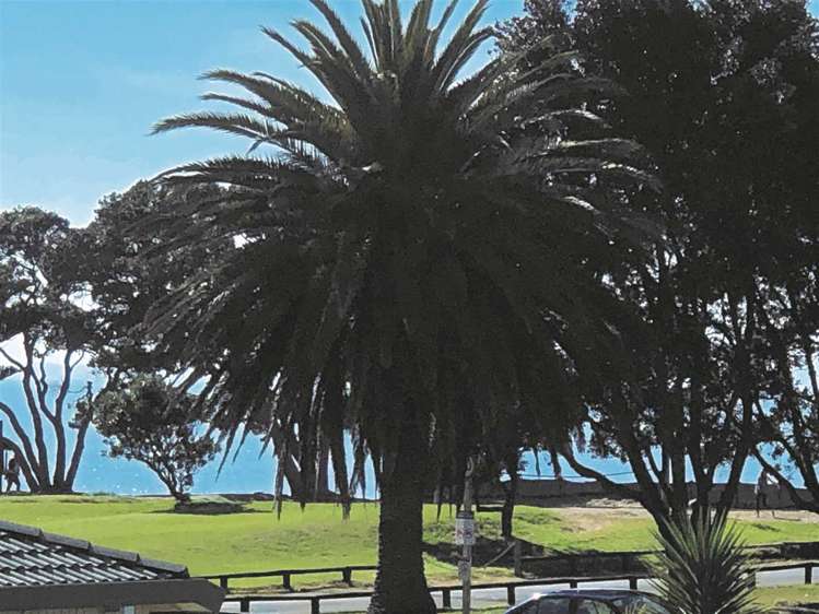 3/252 Hibiscus Coast Highway Orewa_17