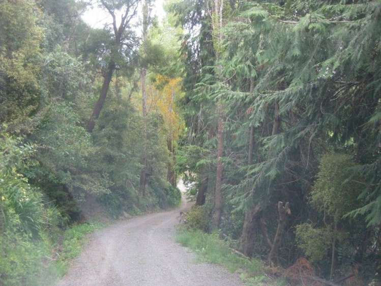 9124 Route 52 Weber_21