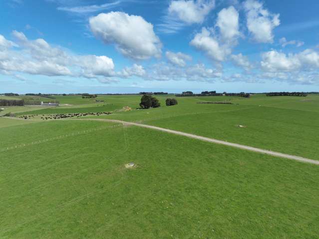 1347 Rimu Seaward Downs Road Seaward Downs_2