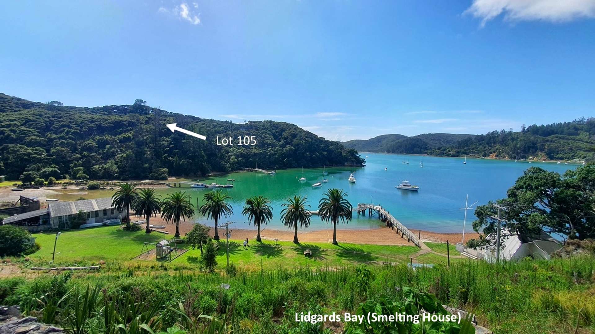 Hideaway Cove Kawau Island_0