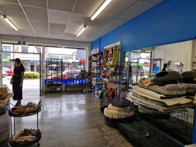 51 Alexandra Street Te Awamutu_3