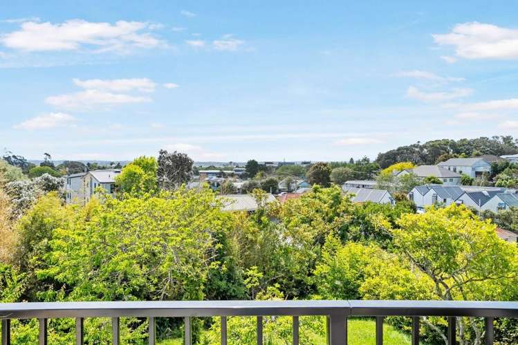 19 Benfield Avenue Mt Albert_3